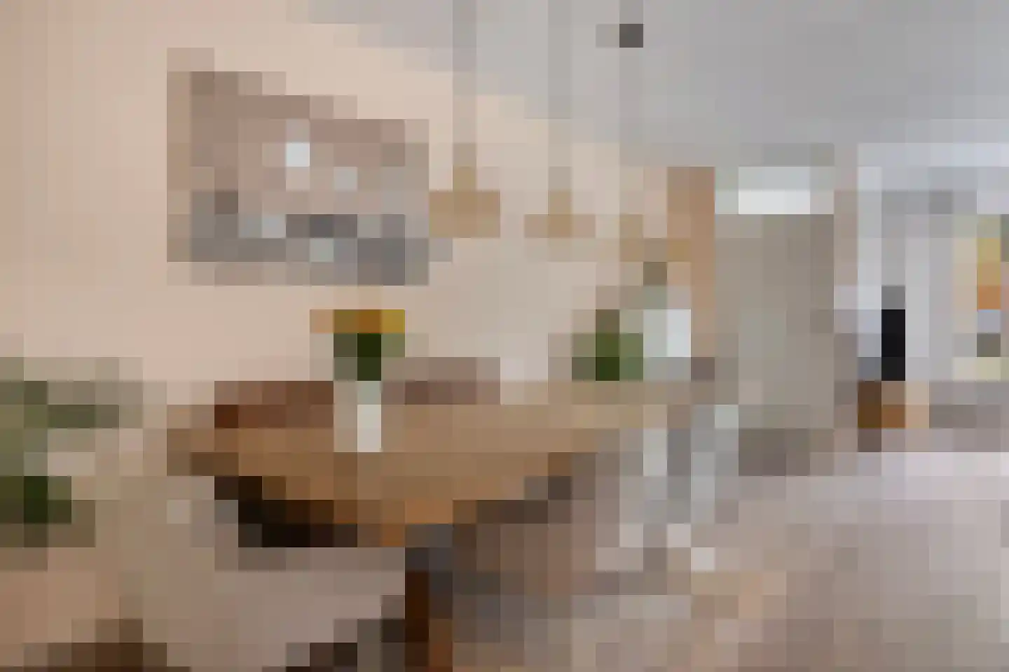 Cartonbaan 17 Hoogezand thumbnail 9