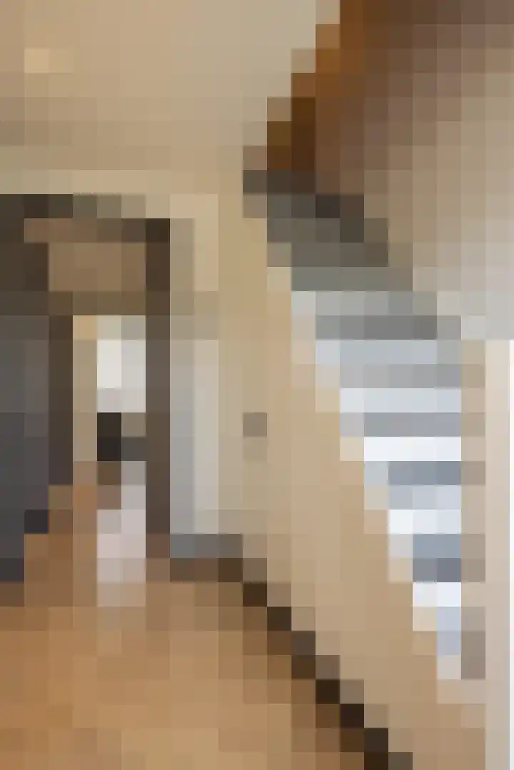 Cartylshofstraat 19 Beek thumbnail 18
