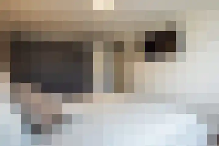 Cartylshofstraat 19 Beek thumbnail 20