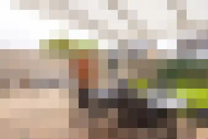 Cartylshofstraat 19 Beek thumbnail 27