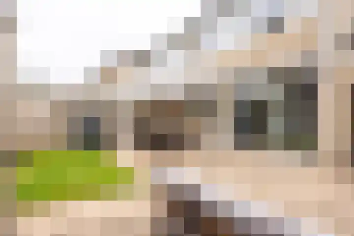 Cartylshofstraat 19 Beek thumbnail 29
