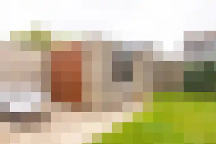 Cartylshofstraat 19 Beek thumbnail 30