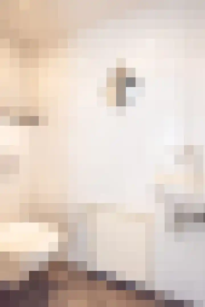 Cartylshofstraat 19 Beek thumbnail 7