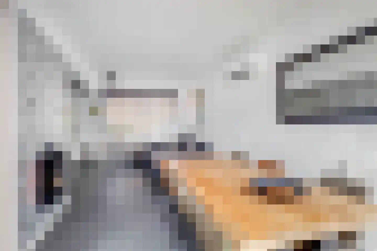 Cartylshofstraat 23 Beek thumbnail 12