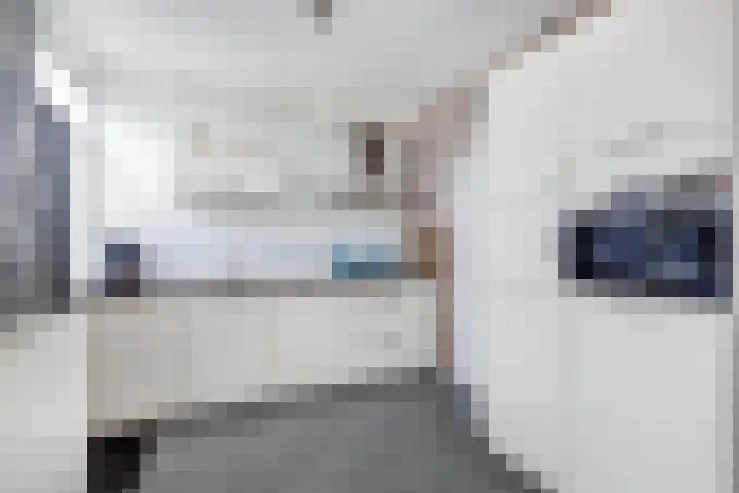 Cartylshofstraat 23 Beek thumbnail 16