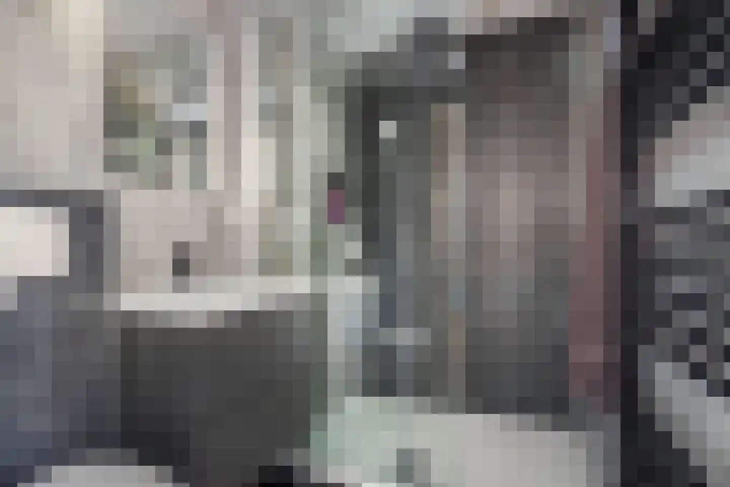 Cartylshofstraat 23 Beek thumbnail 26