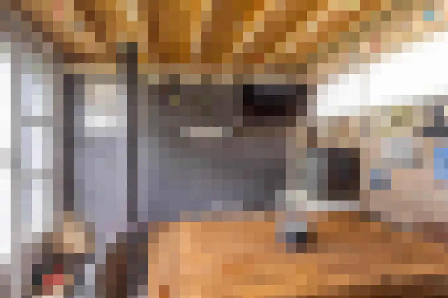 Cartylshofstraat 23 Beek thumbnail 40