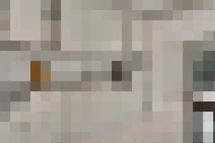 Cartylshofstraat 34 Beek thumbnail 15