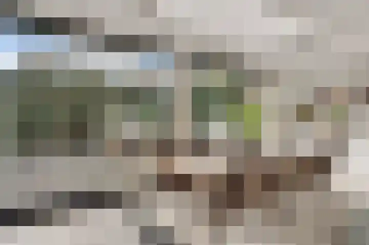 Cartylshofstraat 34 Beek thumbnail 17