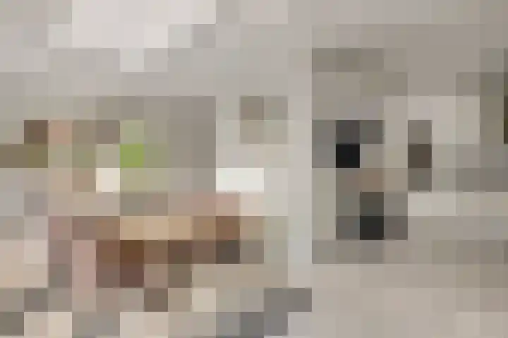 Cartylshofstraat 34 Beek thumbnail 18