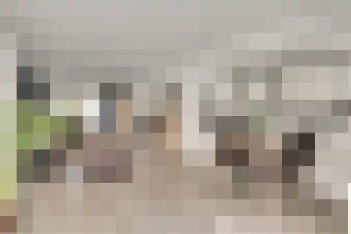 Cartylshofstraat 34 Beek thumbnail 19