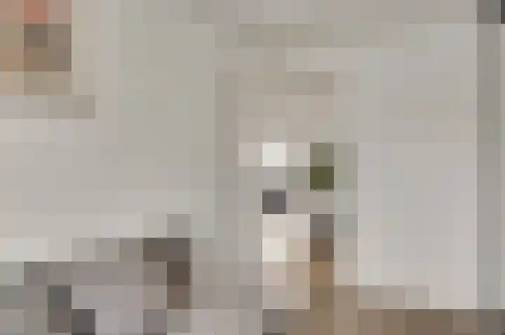 Cartylshofstraat 34 Beek thumbnail 31