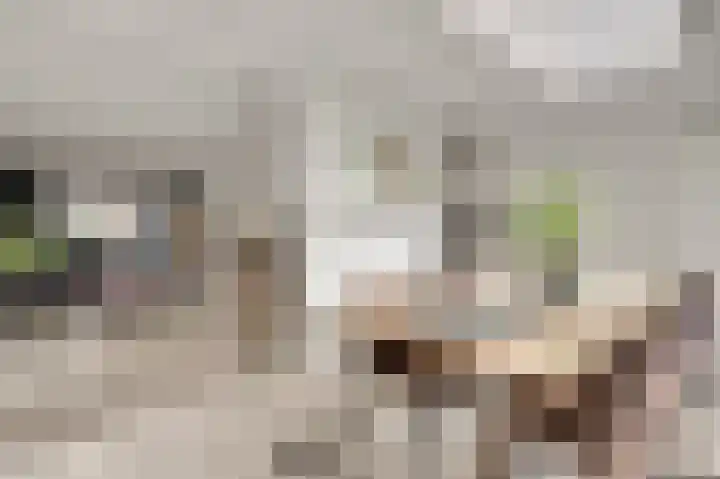 Cartylshofstraat 34 Beek thumbnail 4