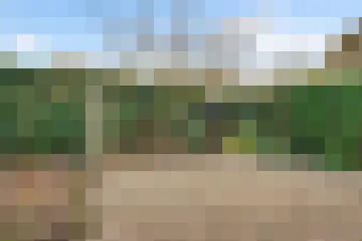 Cartylshofstraat 34 Beek thumbnail 41