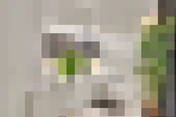 Cartylshofstraat 34 Beek thumbnail 8