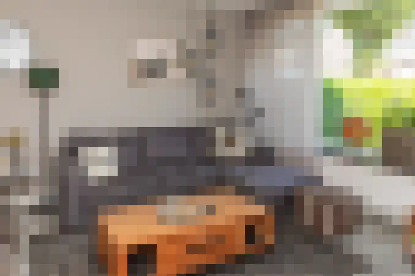 Carvonestraat 33 Kesteren thumbnail 12