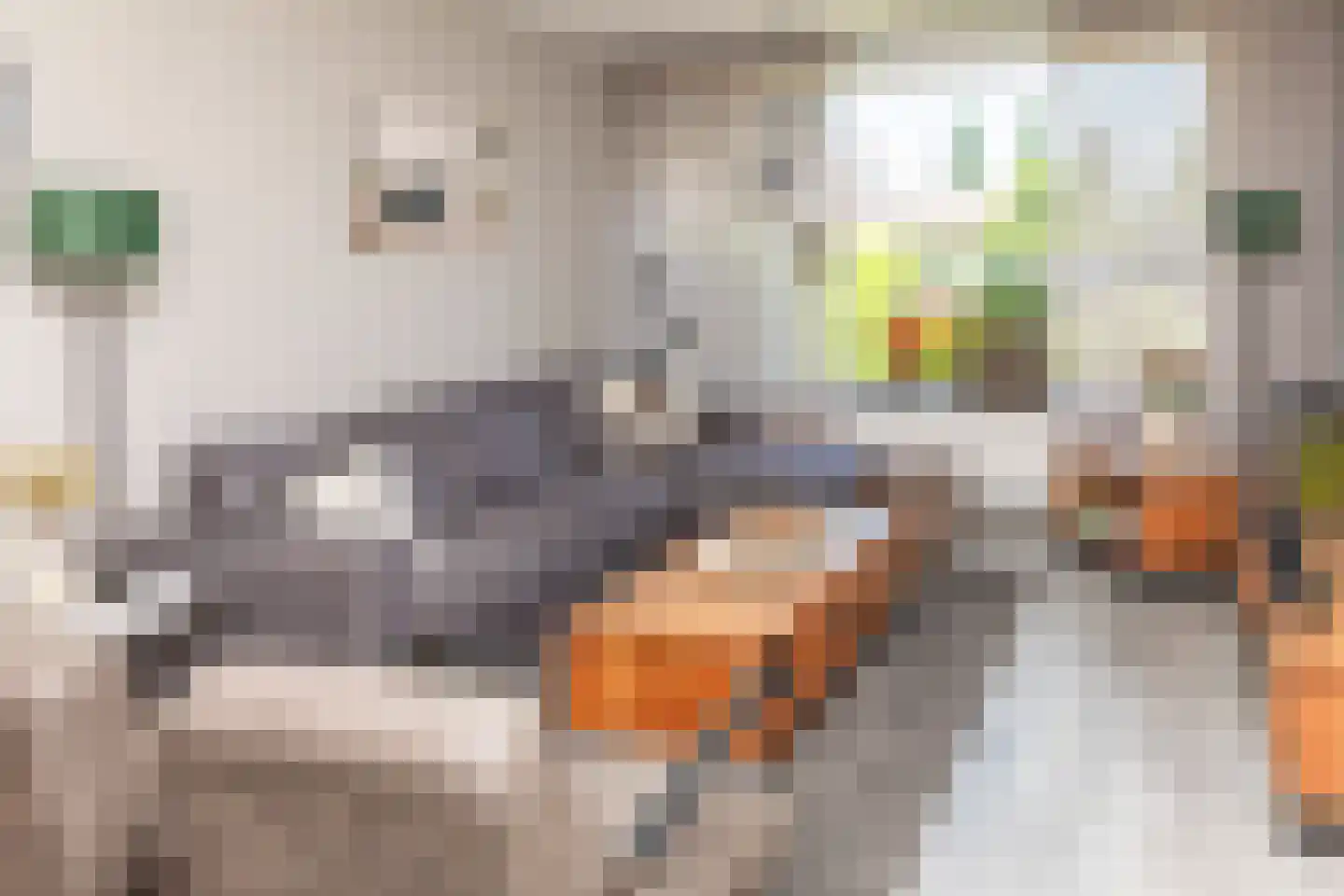 Carvonestraat 33 Kesteren thumbnail 17