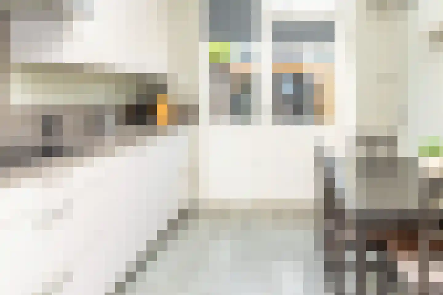Carvonestraat 33 Kesteren thumbnail 19