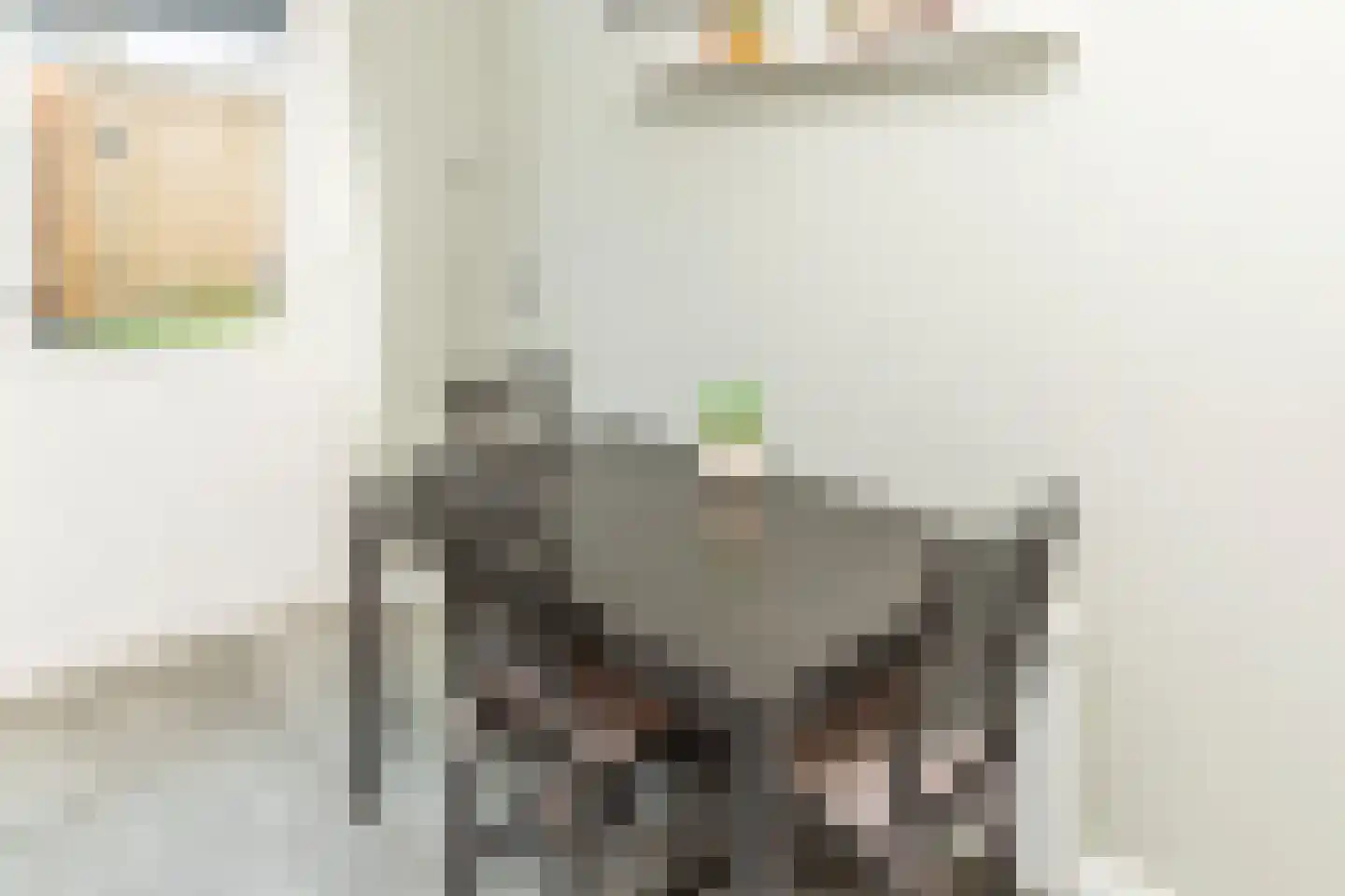 Carvonestraat 33 Kesteren thumbnail 20
