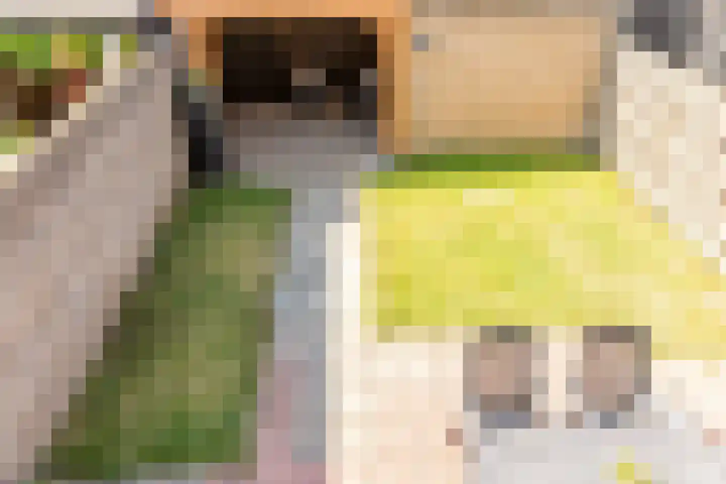 Carvonestraat 33 Kesteren thumbnail 30