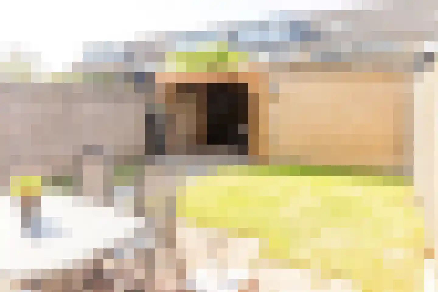 Carvonestraat 33 Kesteren thumbnail 42