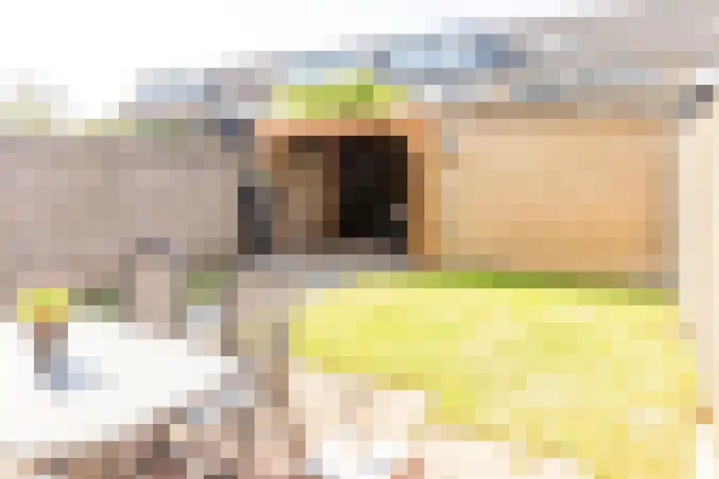 Carvonestraat 33 Kesteren thumbnail 42