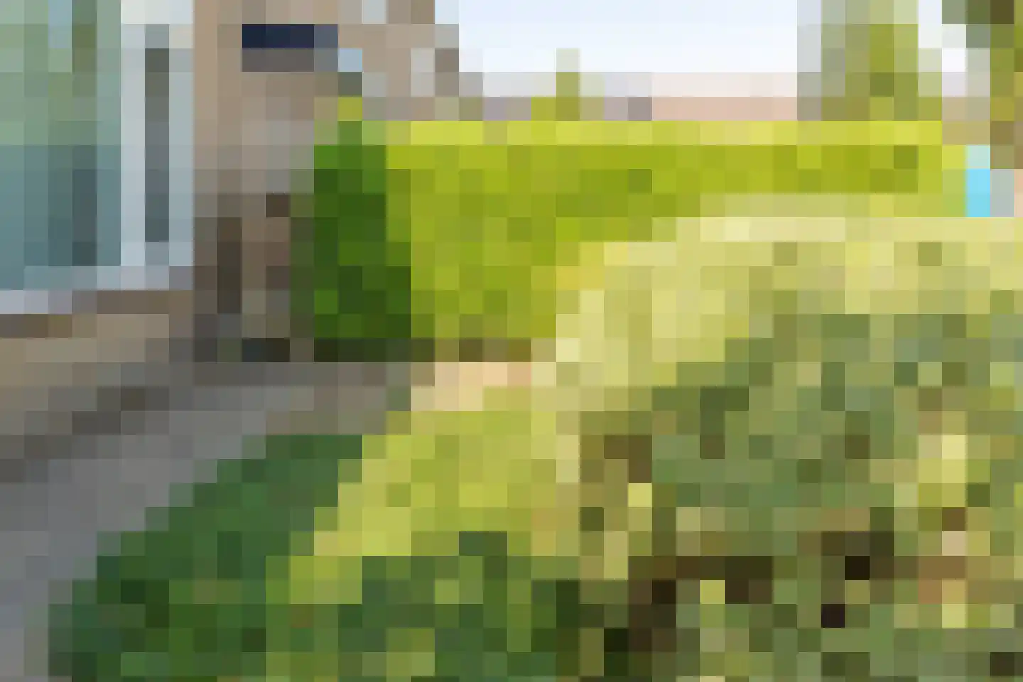 Carvonestraat 33 Kesteren thumbnail 50