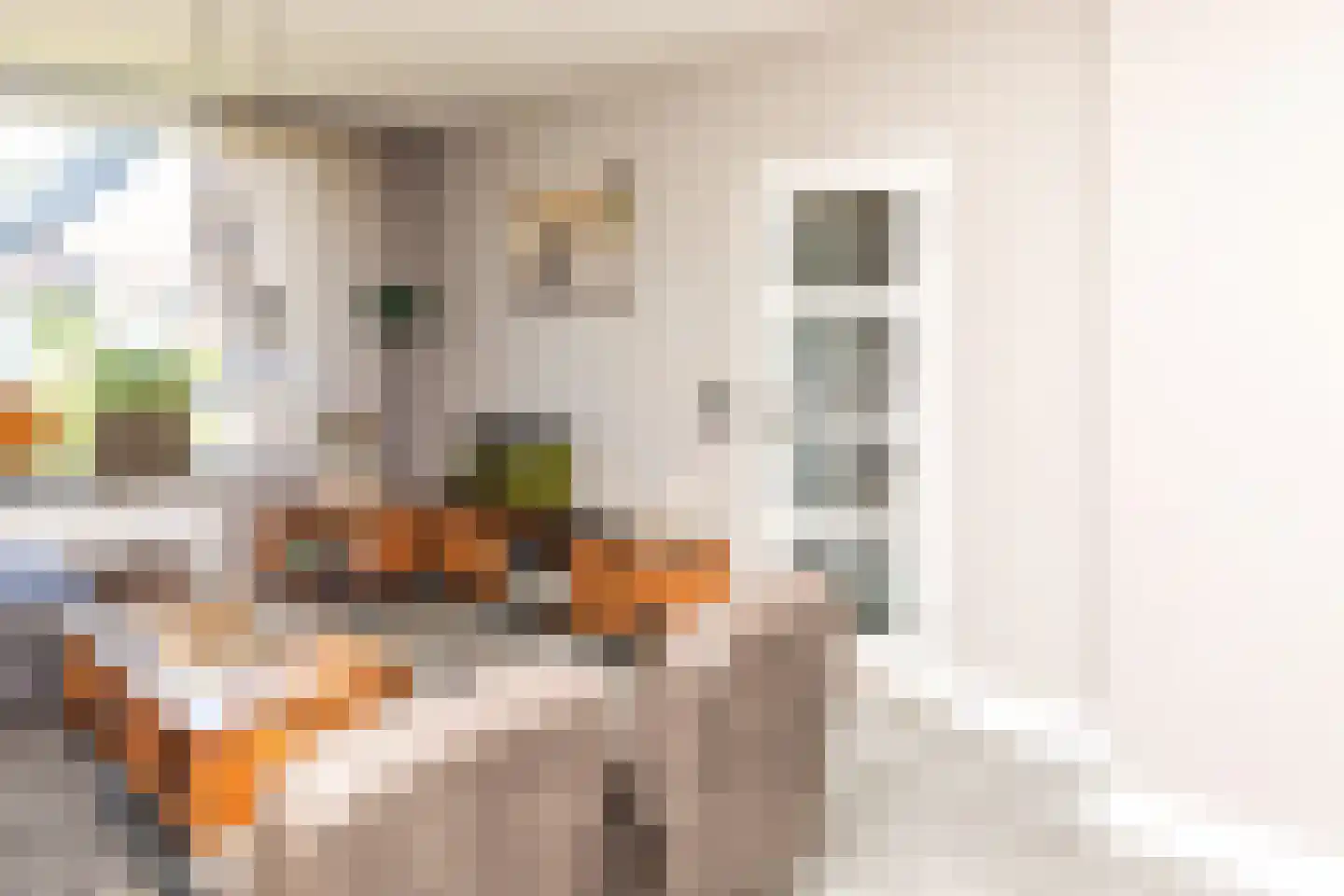 Carvonestraat 33 Kesteren thumbnail 52