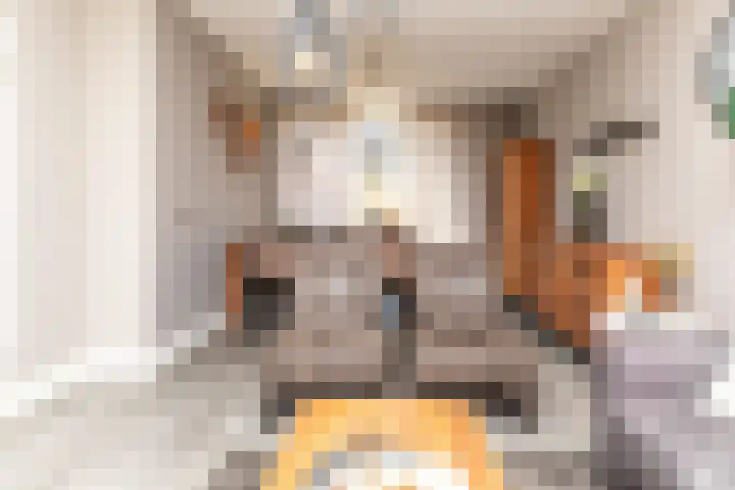 Carvonestraat 33 Kesteren thumbnail 53
