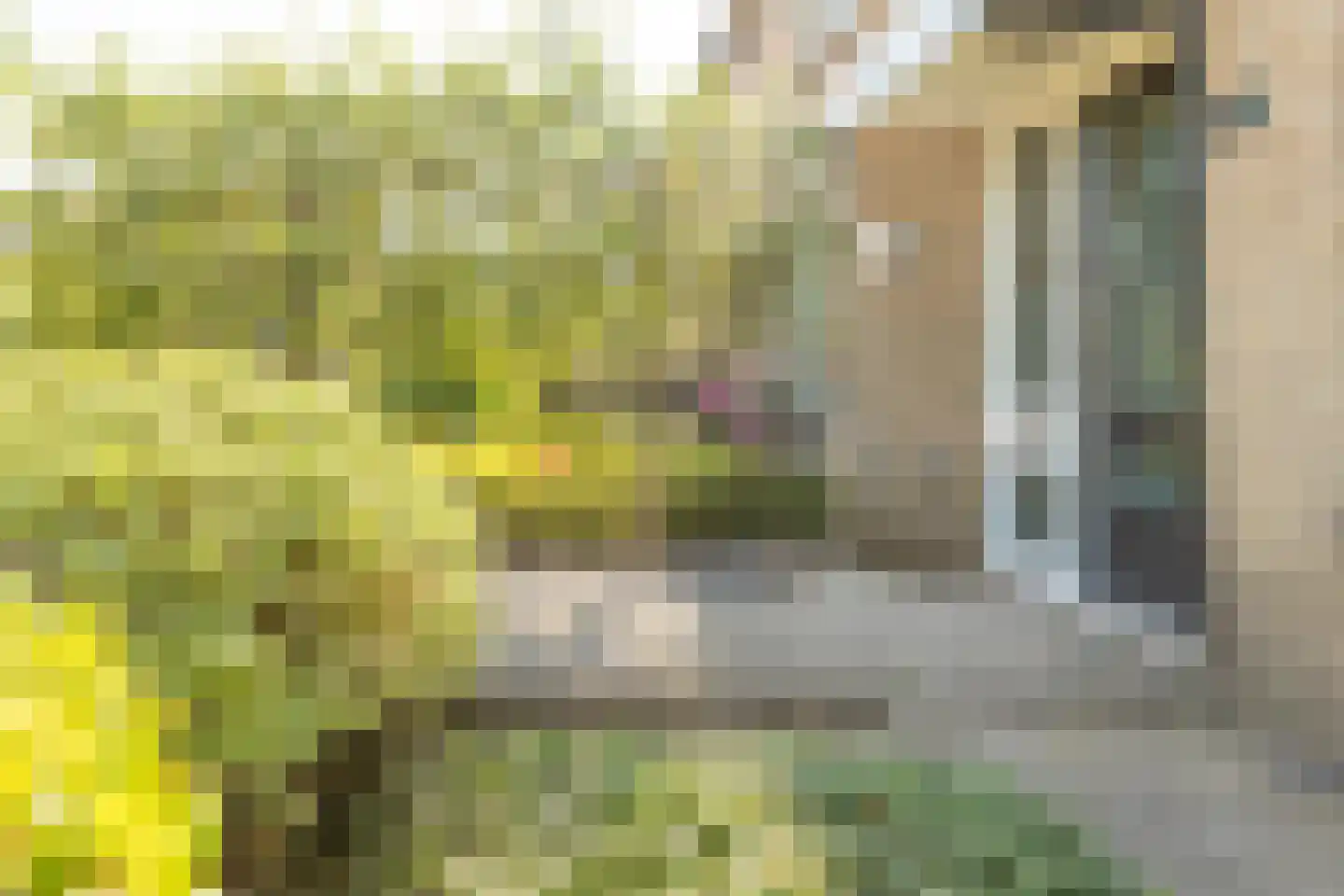 Carvonestraat 33 Kesteren thumbnail 9
