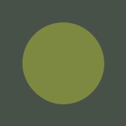 Logo Cas Makelaardij B.V.