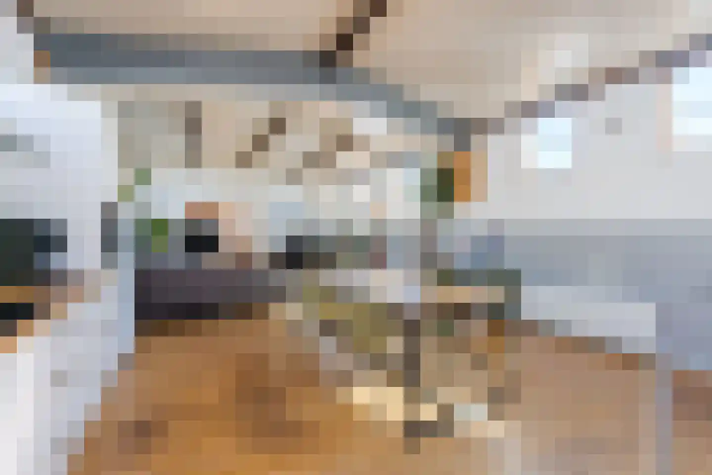 Cas Oorthuyskade 13 Amsterdam thumbnail 13