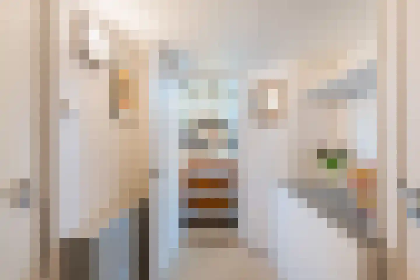 Cas Oorthuyskade 13 Amsterdam thumbnail 16