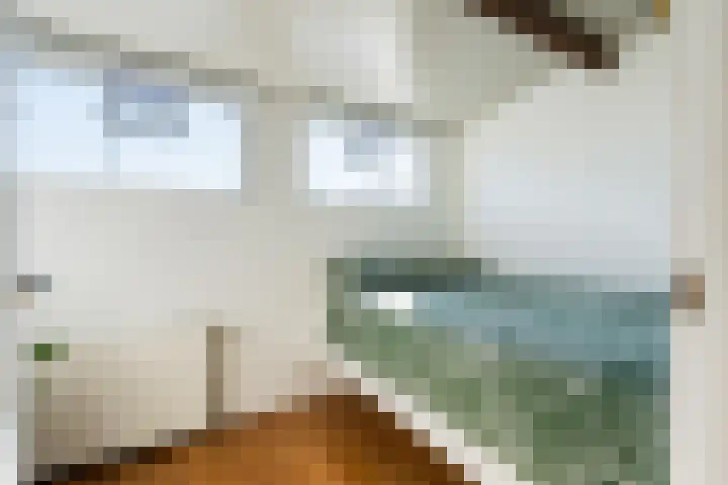 Cas Oorthuyskade 13 Amsterdam thumbnail 17