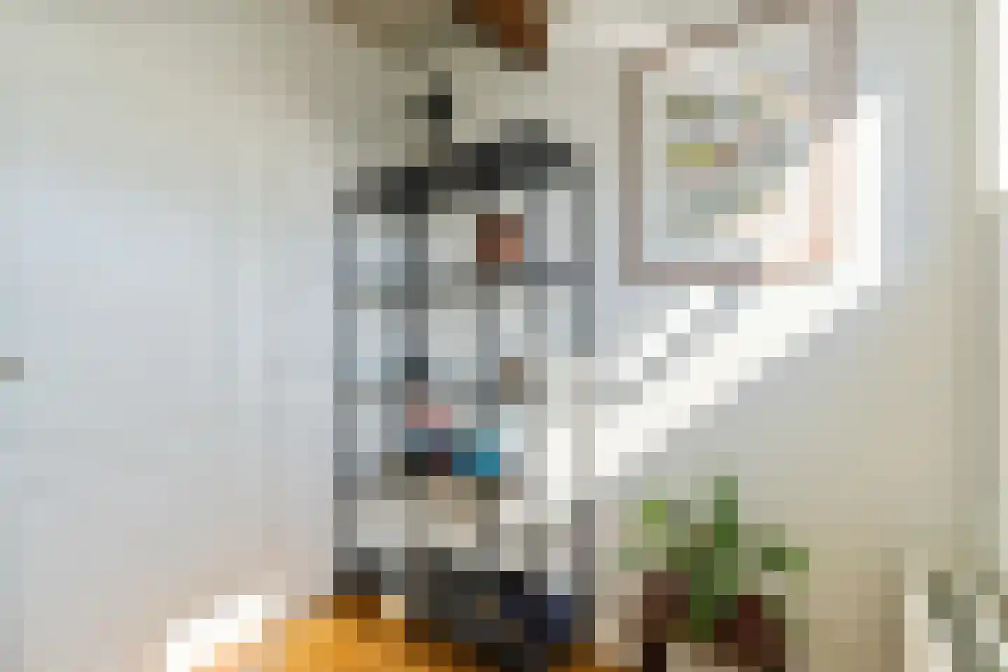 Cas Oorthuyskade 13 Amsterdam thumbnail 18