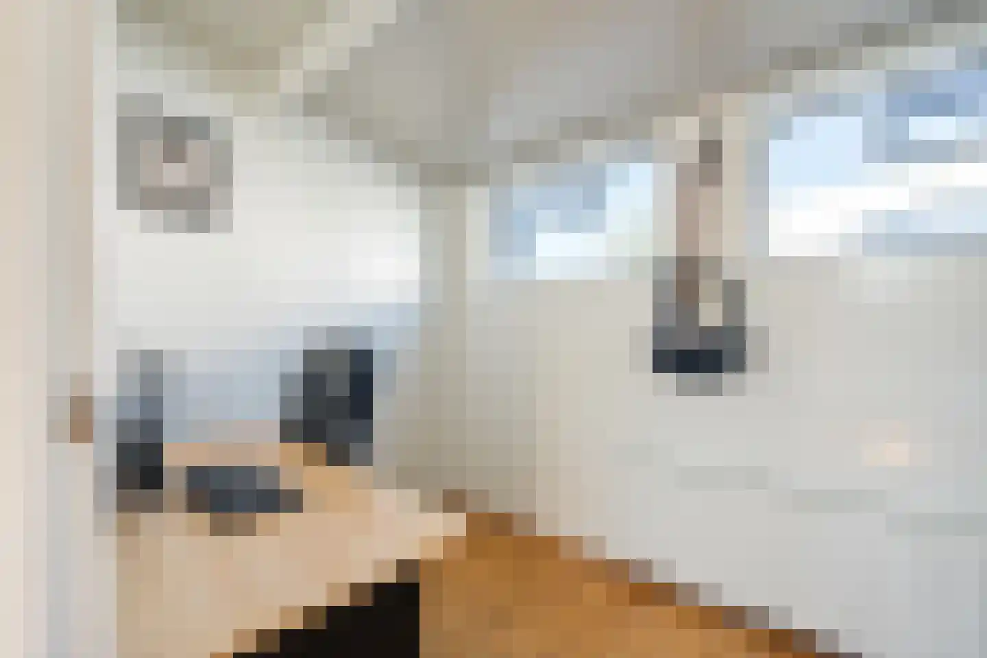 Cas Oorthuyskade 13 Amsterdam thumbnail 19