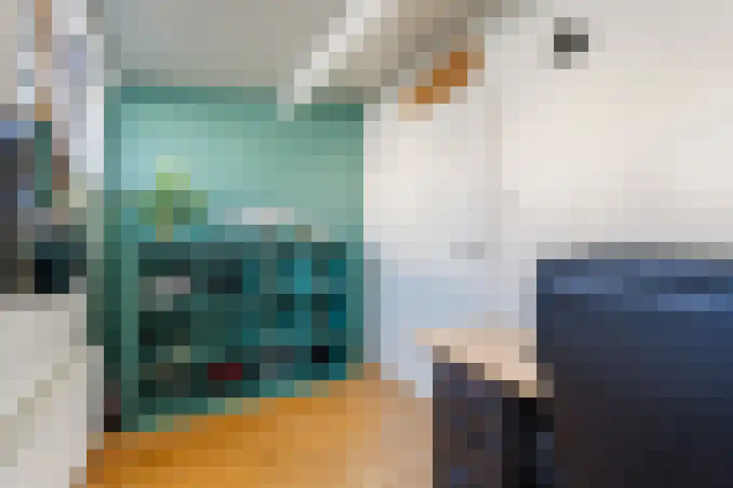 Cas Oorthuyskade 13 Amsterdam thumbnail 20