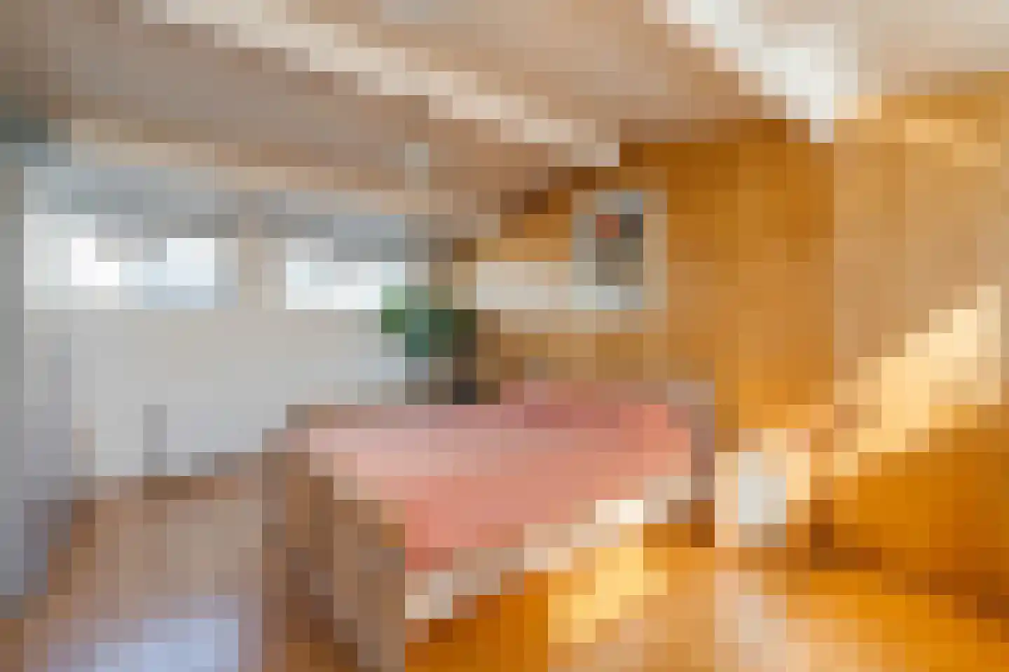 Cas Oorthuyskade 13 Amsterdam thumbnail 22