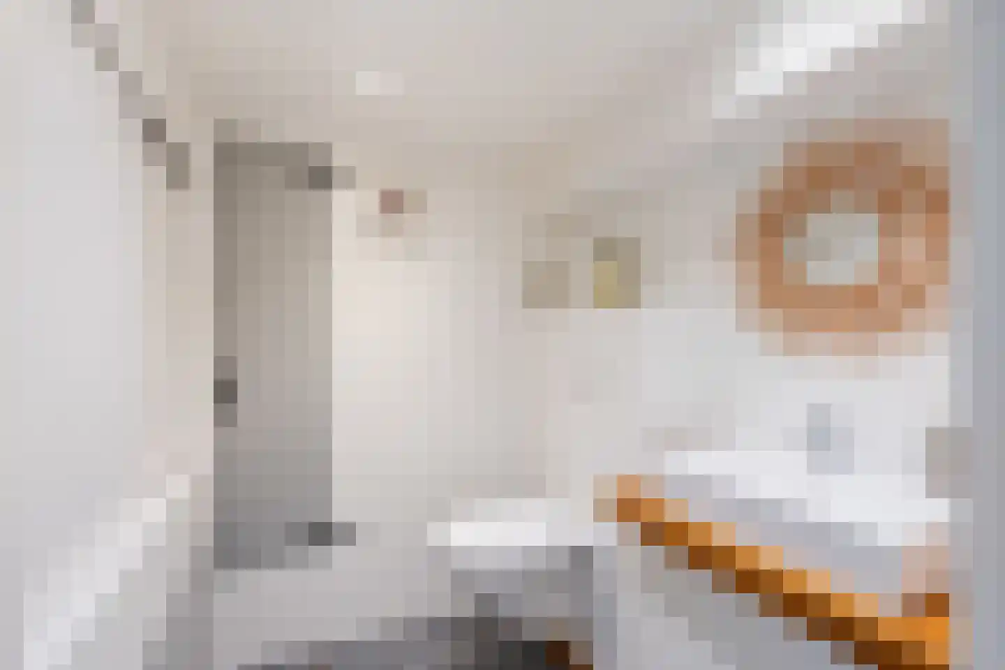 Cas Oorthuyskade 13 Amsterdam thumbnail 29