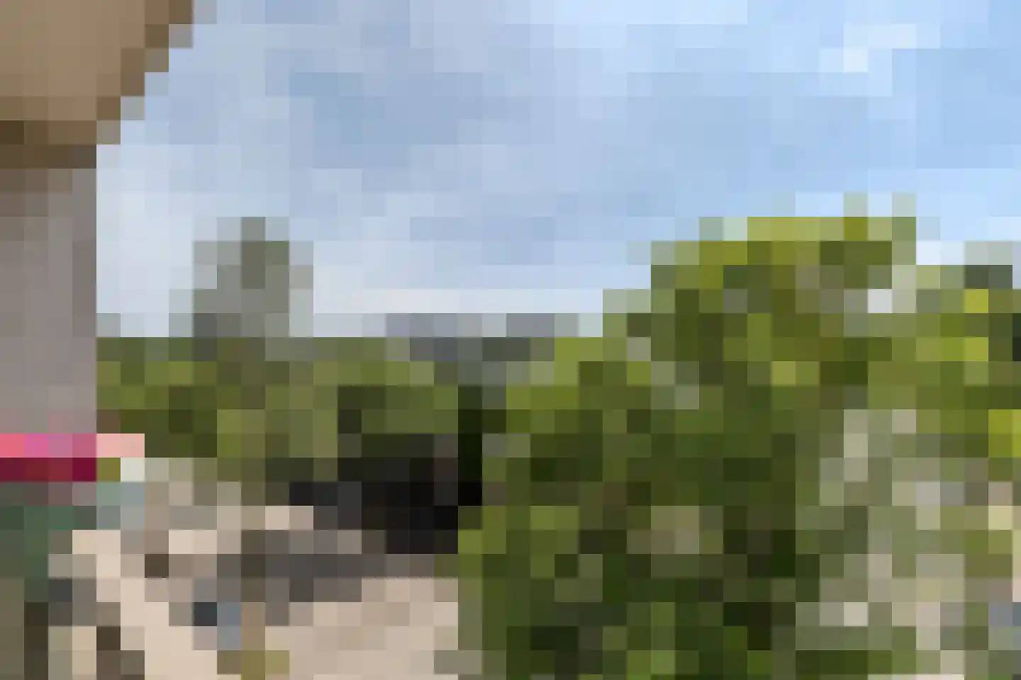 Cas Oorthuyskade 230 Amsterdam thumbnail 15