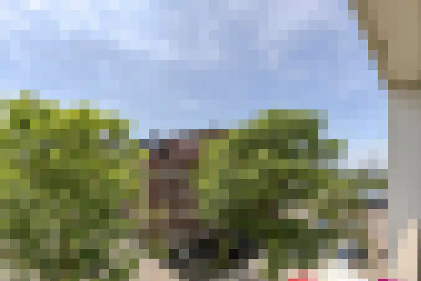 Cas Oorthuyskade 230 Amsterdam thumbnail 16