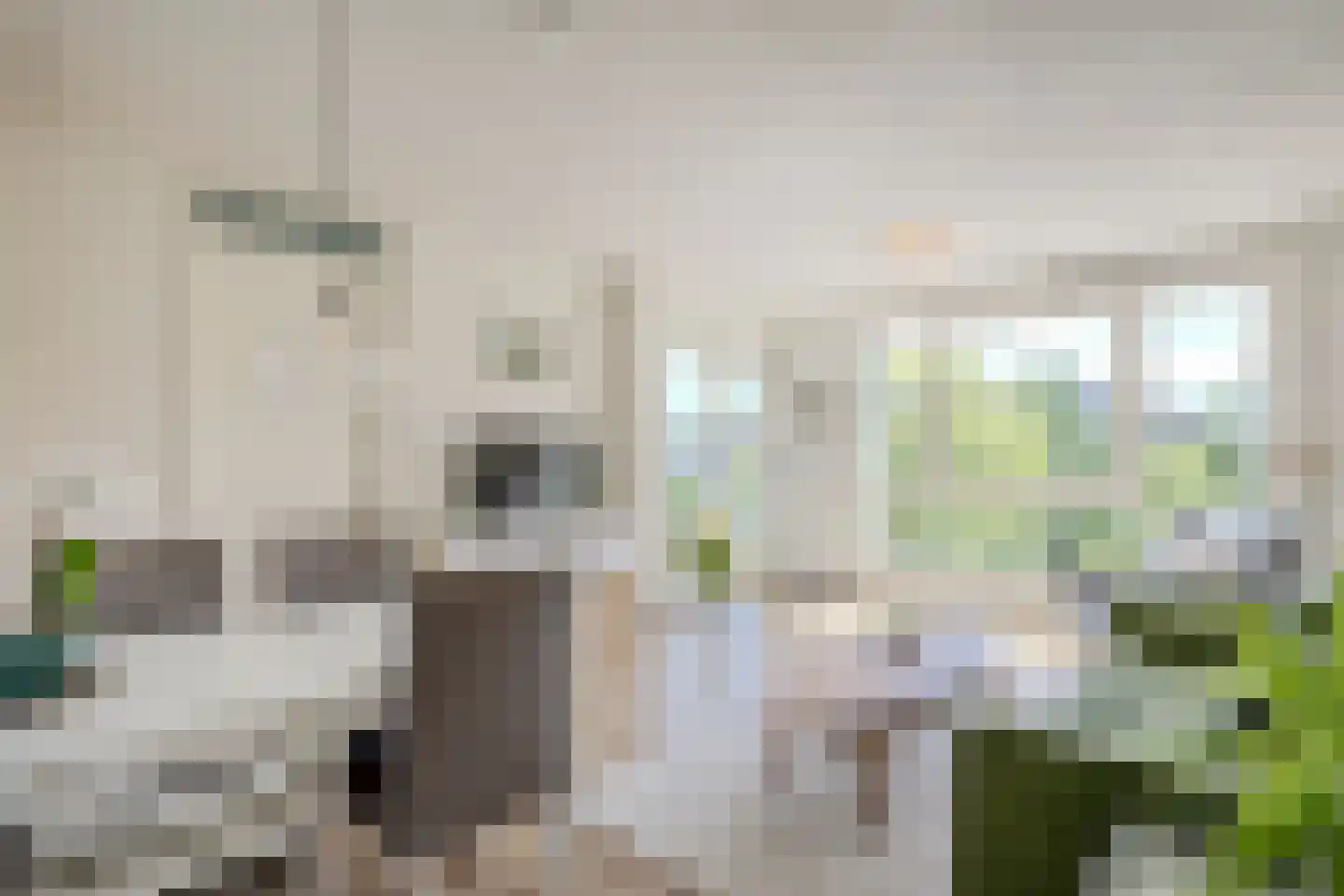 Cas Oorthuyskade 230 Amsterdam thumbnail 17