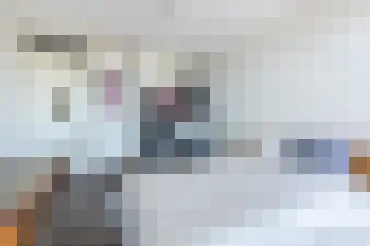 Cas Oorthuyskade 254 Amsterdam thumbnail 21