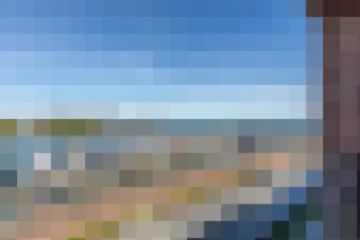 Cas Oorthuyskade 254 Amsterdam thumbnail 31
