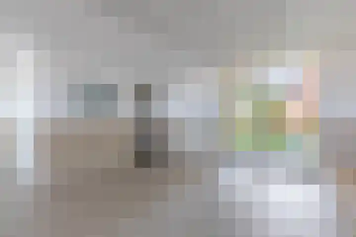 Cas Oorthuyskade 254 Amsterdam thumbnail 35