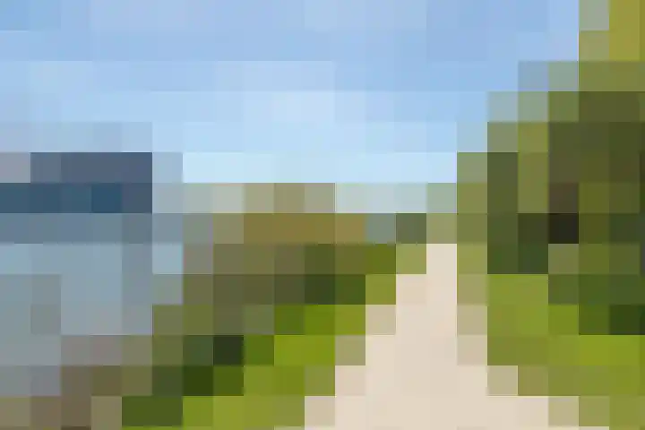 Cas Oorthuyskade 254 Amsterdam thumbnail 47