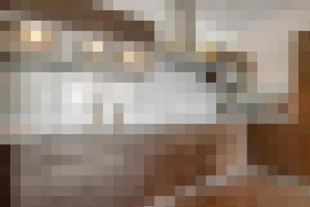 Cas Oorthuyskade 260 Amsterdam thumbnail 6