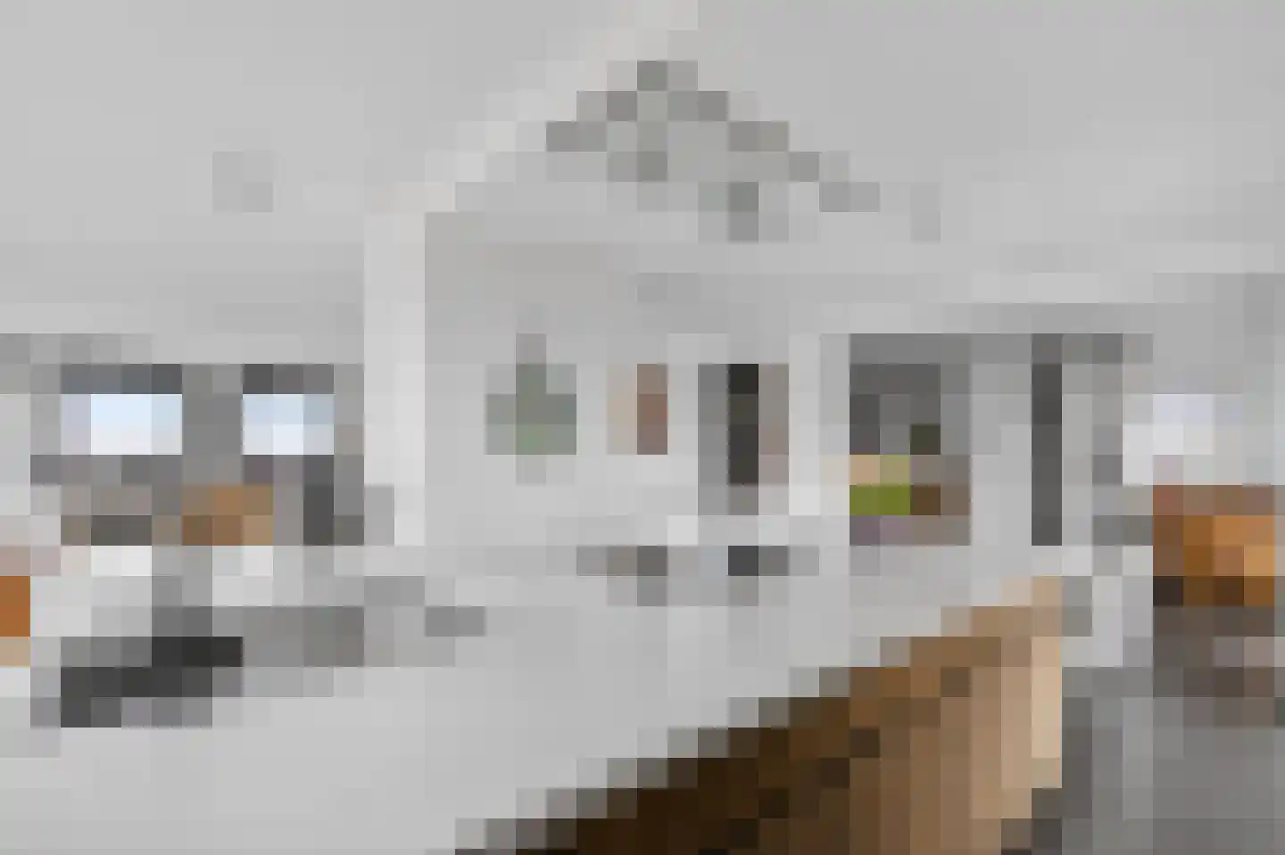 Cas Oorthuyskade 274 Amsterdam thumbnail 23