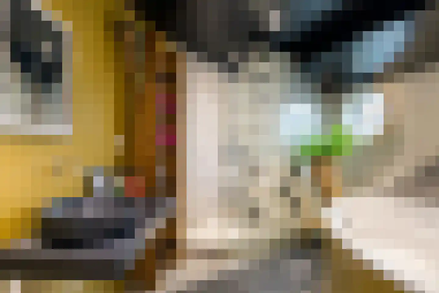 Cas Oorthuyskade 29 Amsterdam thumbnail 23