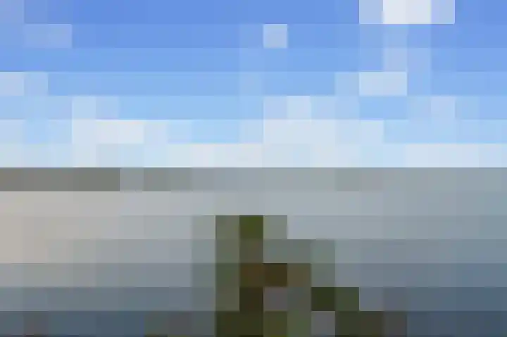 Cas Oorthuyskade 294 Amsterdam thumbnail 29